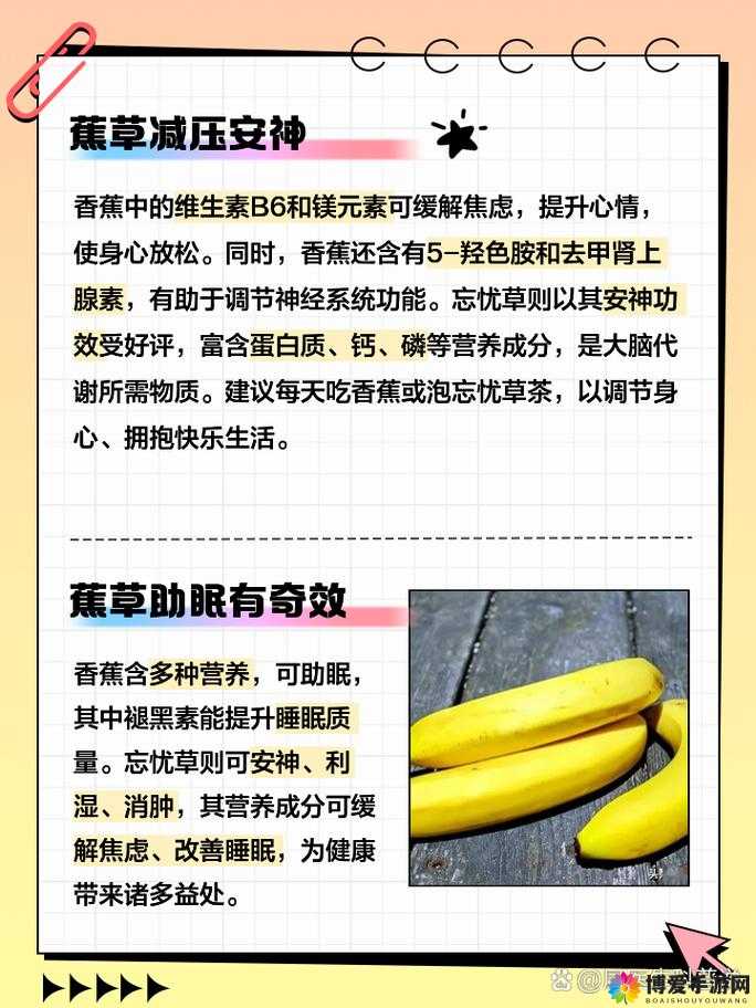 香蕉和忘忧草有何不同：营养价值与功效的全面解析