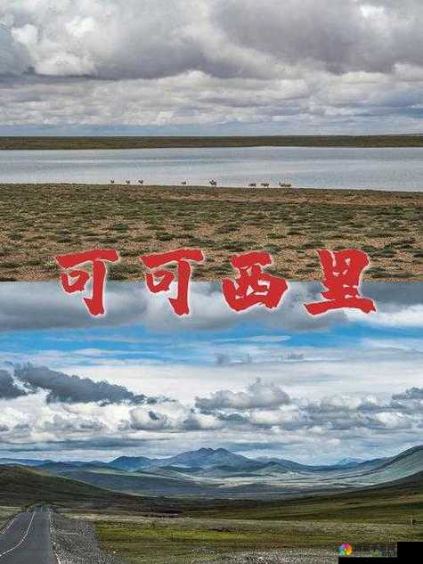 无人区编码 6229jm 观天下事都有机会展现自己独特的魅力之深入探讨与全面解析