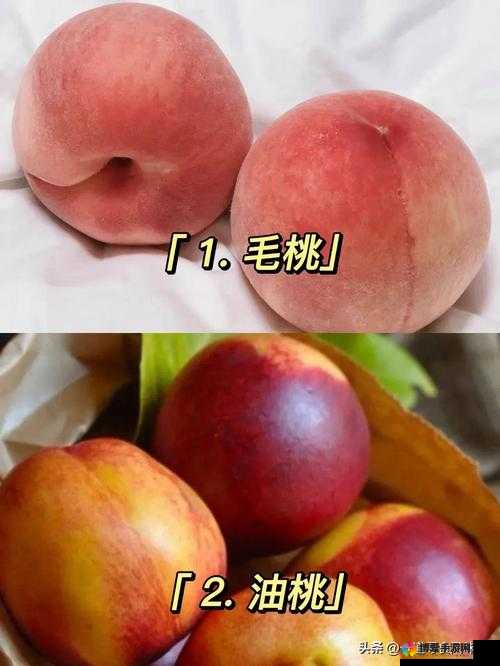 欧产日产国产水蜜桃:品种差异与独特风味的详细比较