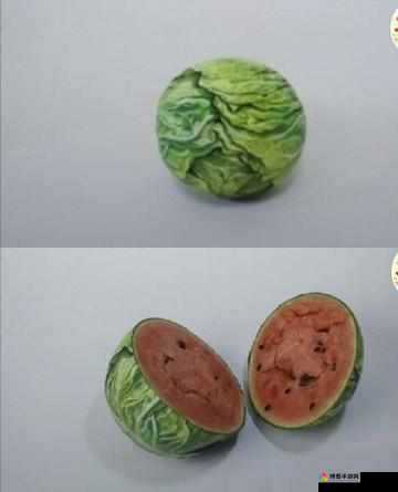 香蕉草莓黄瓜丝瓜番茄的奇妙组合与美味探索