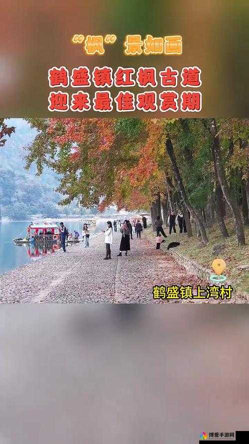 枫晚古道，探寻开光材料的奇幻之旅