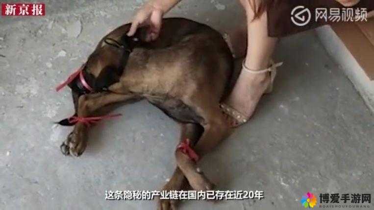 站着从后面是不是要紧一些再会丝袜美腿网红：情趣丝袜引发的思考