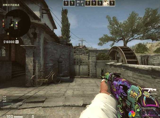 暴躁老阿姨 csgo 技巧宣布瓦解：曾经的辉煌不再