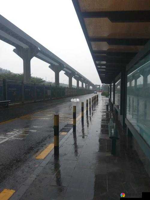 下雨天在公交车站避雨的实用技巧分享
