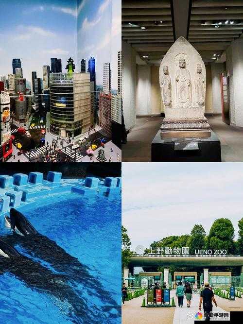 13277 大但人文艺术日本活动：独特艺术之旅