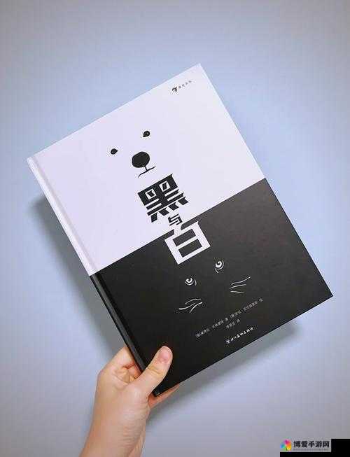 THEWHITEBOX 黑与白：关于它的独特魅力与深刻内涵探索