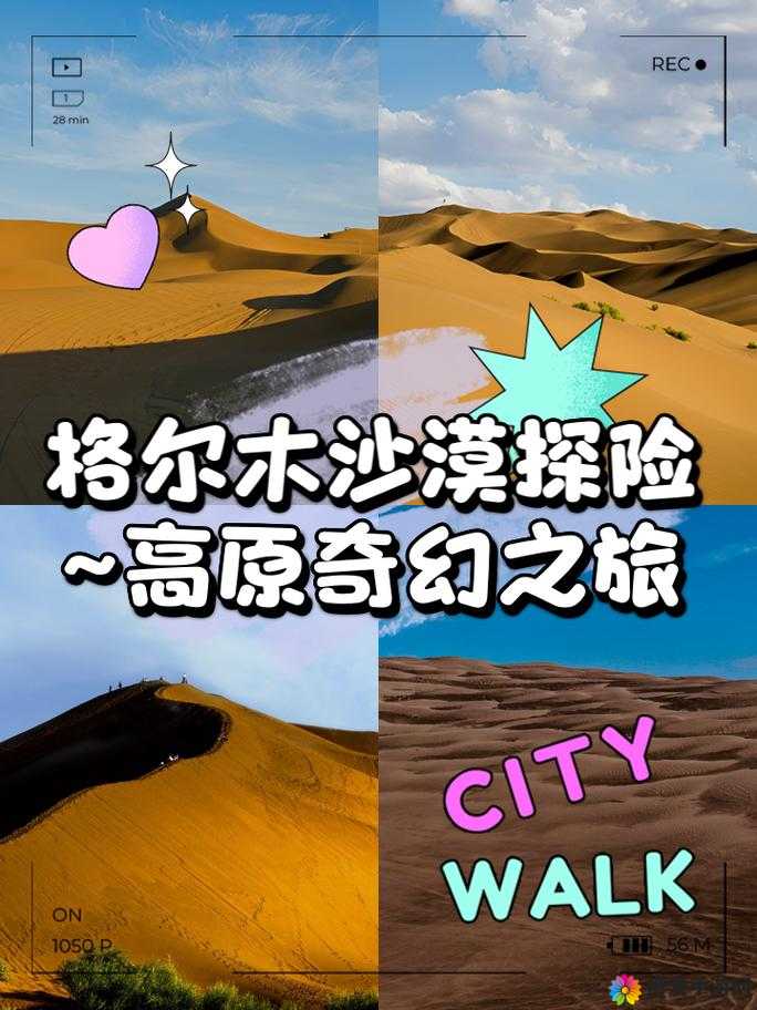 无限制组队刷秘境，探险与收获的奇妙之旅