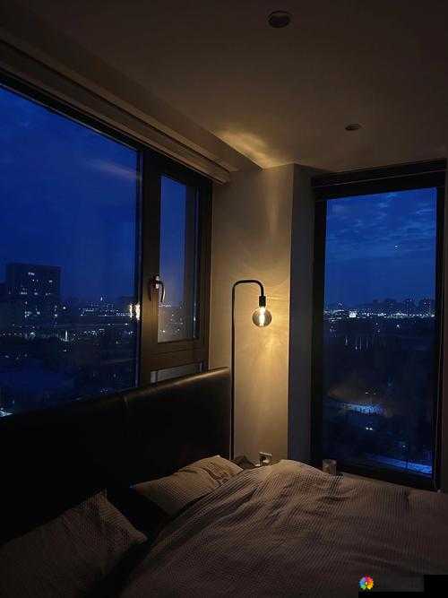 浪漫夜晚：体验双人床上摇床运动的美妙时刻