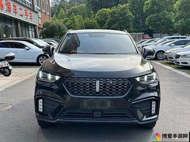 WEY VV5 国产的 SUV：展现卓越性能与独特魅力的高品质汽车