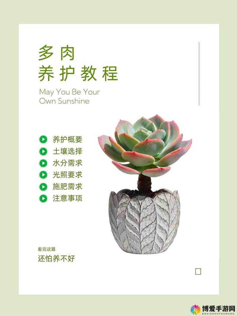 多肉植物皇家共享小公主的养护方法