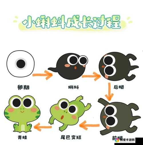 小蝌蚪下载小蝌蚪吧丝瓜免费观看安全性高，网友：提供纯净的观影体验