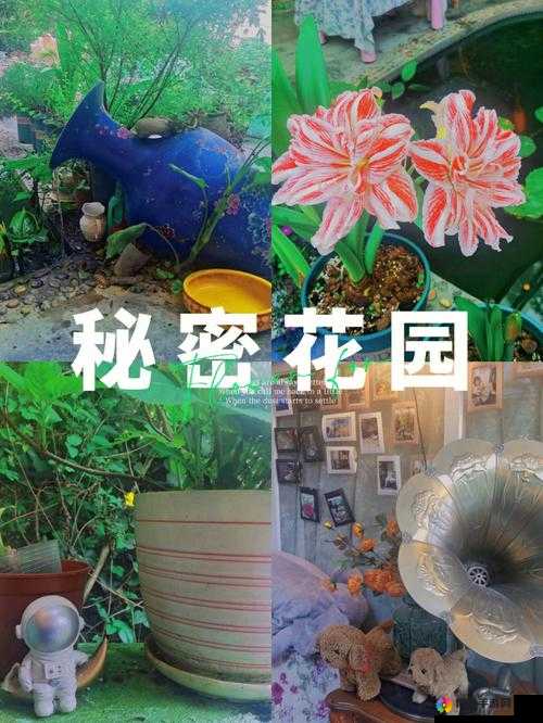 大手往何处秘密花园探去:探索未知的神秘领域
