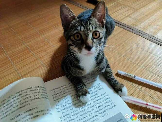 男生很突然的摸了我的脸一:那一刻我的心瞬间乱了节奏
