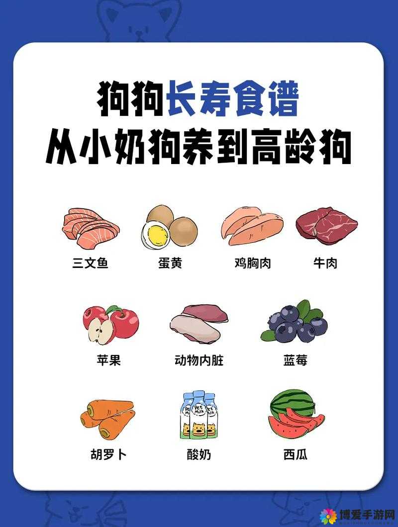 人狗胶配方大全狗狗：探索宠物狗健康饮食的秘诀