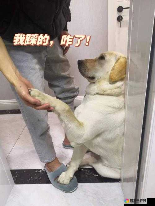 聊天系统新玩法，踩到你脚软