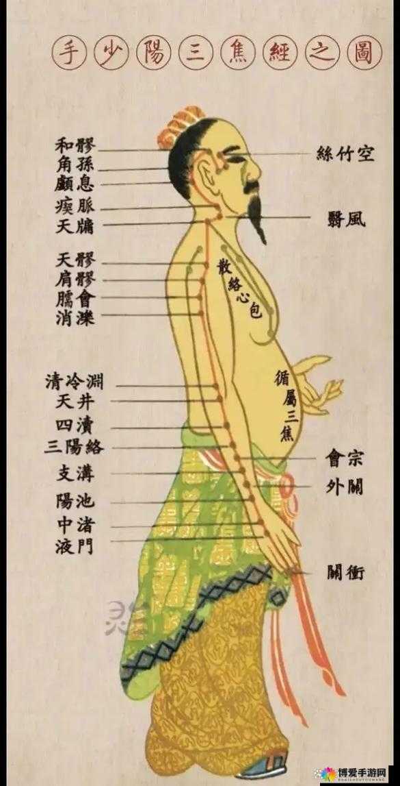 经脉修炼对角色战斗作用分析