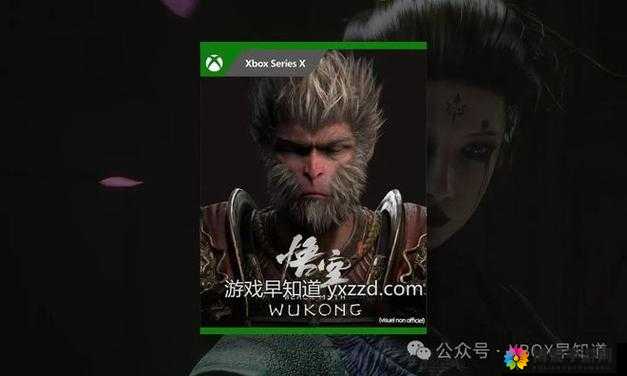 Xbox 负责人：游戏行业前景光明，将继续探索新领域