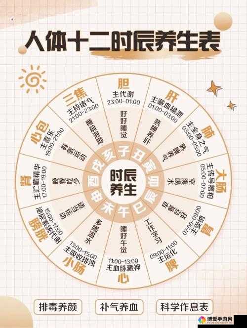 一内两仪护心功属性及作用分析在资源管理中的重要性