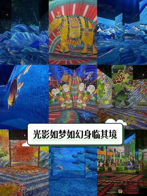 探秘幻境之旅，关键词的深度解析与角色技能前瞻