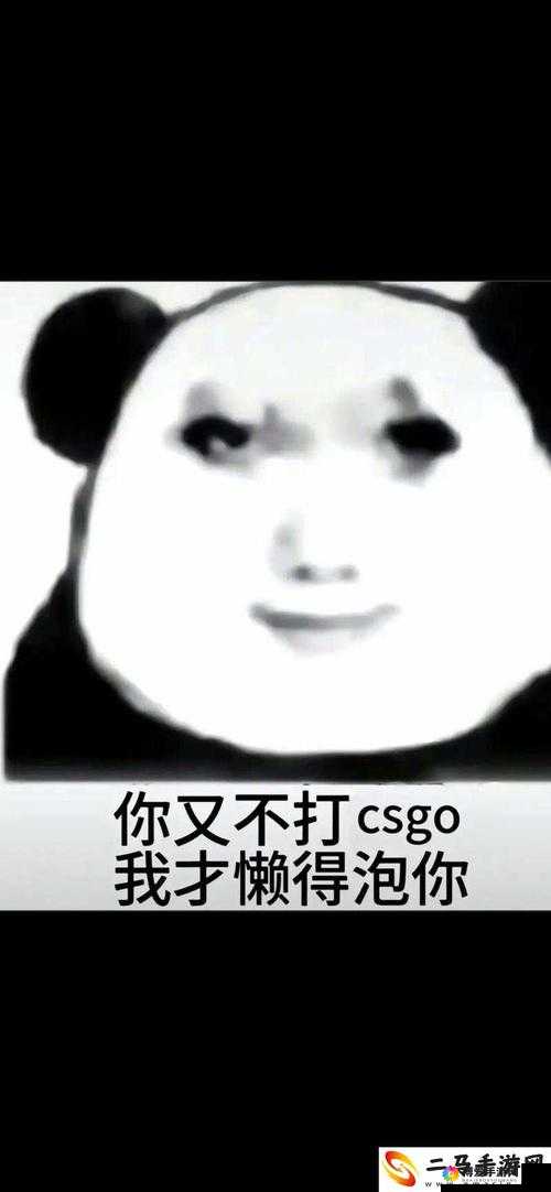 激励暴躁老姐的 CSGO 心得分享：教你从菜鸟到高手的蜕变之路