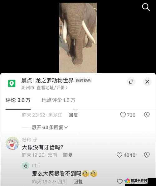 满 18 点此安全转入 2023 大象：关于其的详细介绍与说明