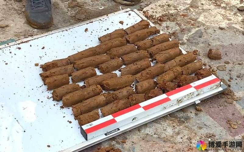 三指探洞工具与二指工具对比解析：优劣尽显
