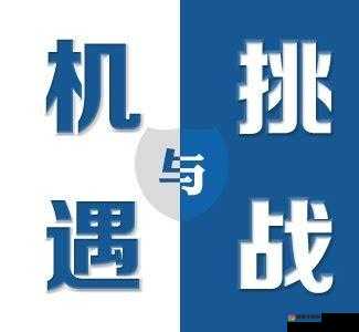 СЕКСТ 中国：一场跨越国界的挑战与机遇