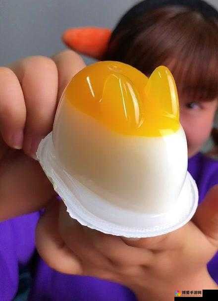 9I 果冻制作厂:匠心打造高品质果冻的典范