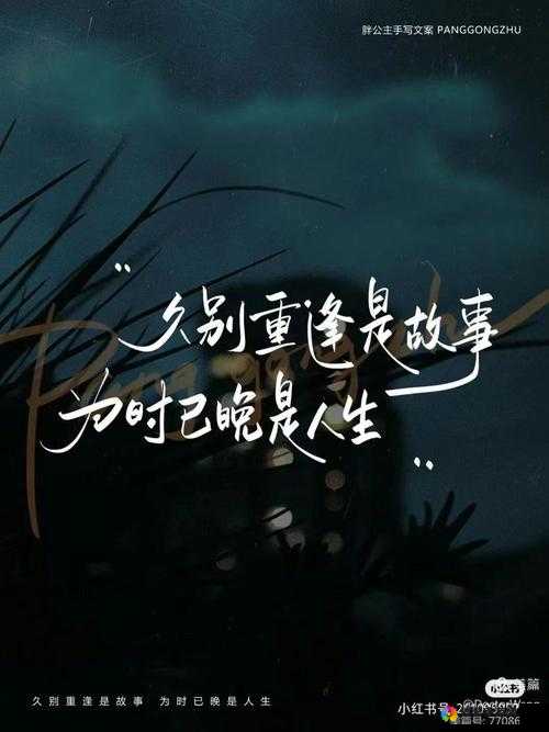 心灵的回潮：在时光的缝隙中找寻自我