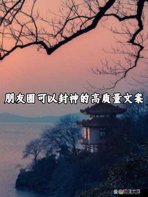 饥饿的阿䧅HD：一个独特且引人关注的存在