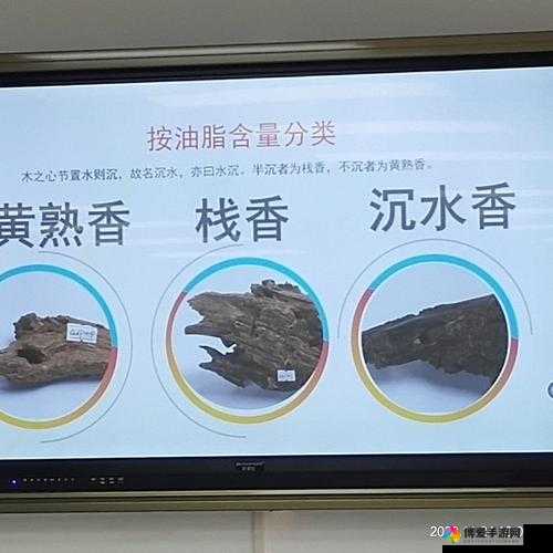 探索成品大香煮伊在 2021 一区的独特魅力与精彩呈现