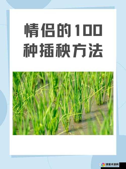 情侣 100 种插秧方法全揭秘：别样浪漫体验之旅