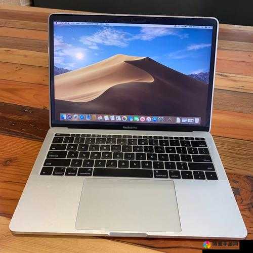 16 岁日本女学生 MacBookPro 被疯狂传阅：这是我见过最震撼的事