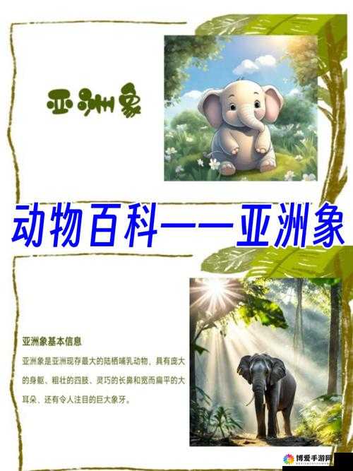 锕铜铜铜铜——独特元素引发的奇妙探索