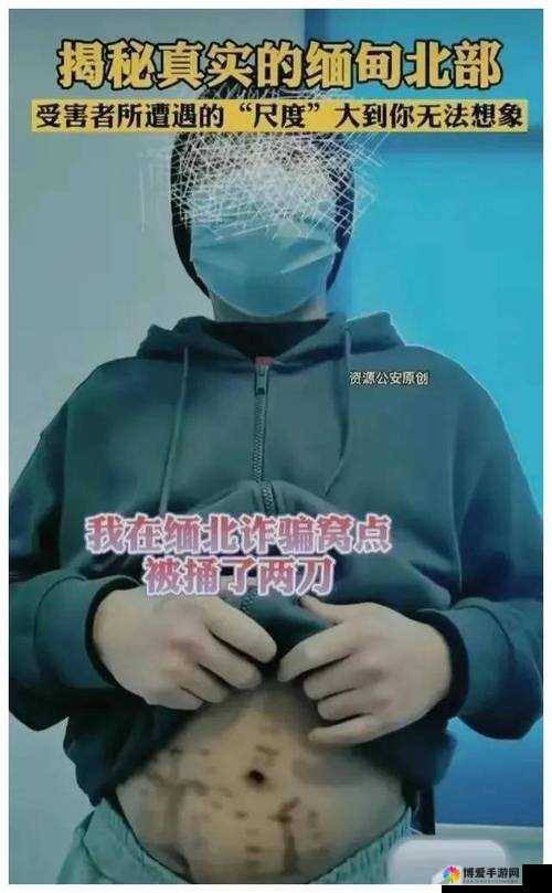 缅北视频资源文件：揭秘缅北诈骗黑幕