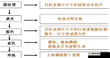 有机zz 怎么看不了呢：探究其背后的原因及解决办法