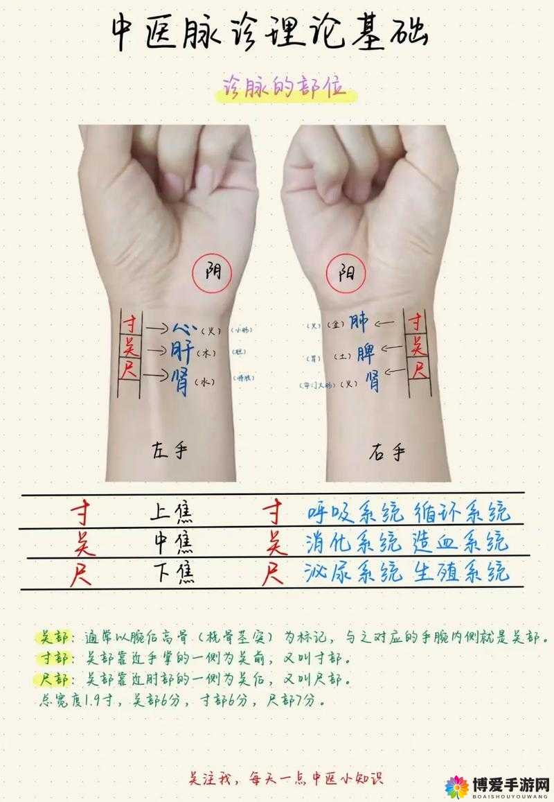 经脉系统深度解析与新手教学