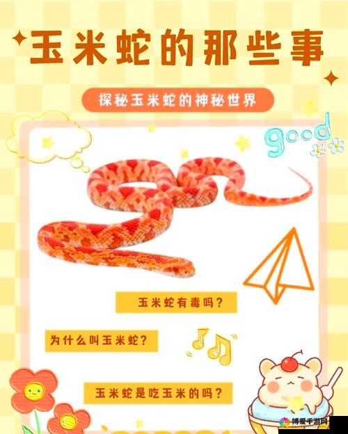 探索独特的 fiee 性 z0Z0 交体另类交体的奇妙世界及相关内涵