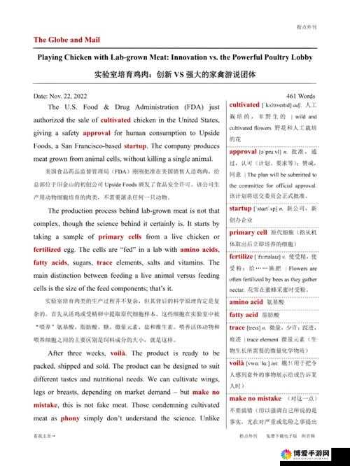 英式忌讳 4 年轻一代：对其深入探究与全面剖析的重要意义