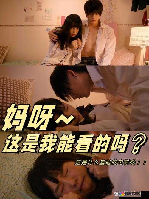 青梅不经 C1V2_：探寻青涩爱情背后的故事