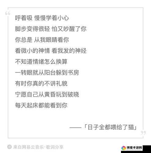 老奶奶 bgm bgm 人：岁月留痕中那些温暖的故事