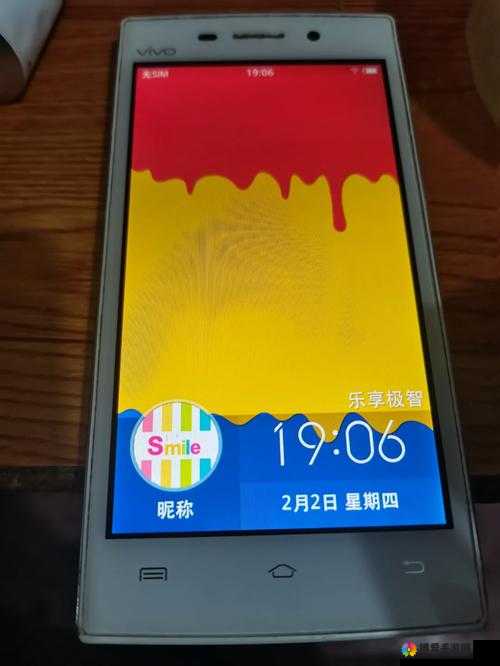 欧美 VIVOY13 高清：手机中的时尚之选
