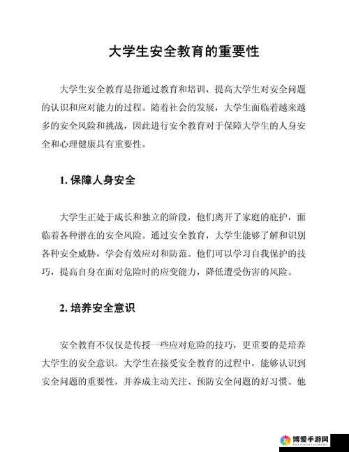 17c.cv 访问安全:关于其重要性及如何保障的深入探讨