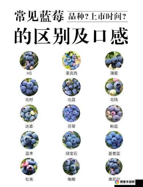 一产区产品与二产区产品在外观质量口感等方面的区别大揭秘