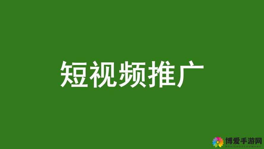 国外 B 站推广网站：带你领略独特的视频分享世界