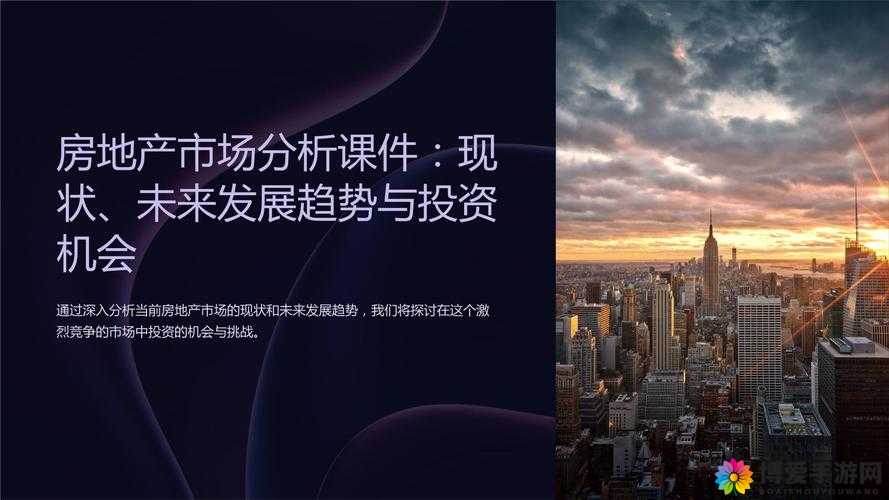 德国大 8BW：关于其历史发展与现状的深入探讨及未来展望