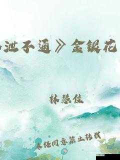 水泄不通金银原文：一场惊心动魄的奇幻冒险之旅