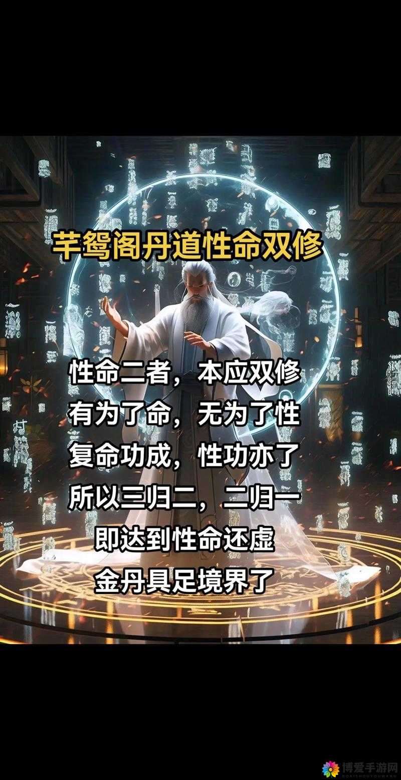 功法修为才是主流，实力堪比等级在资源管理中的重要性与实践