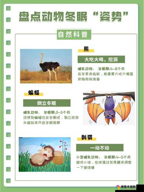 人与马畜禽 corporation：探索动物权益与产业发展的平衡之道