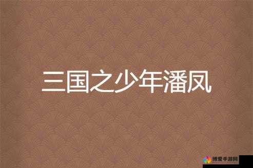 以少年之名，重塑三国，权术伐谋的辉煌篇章
